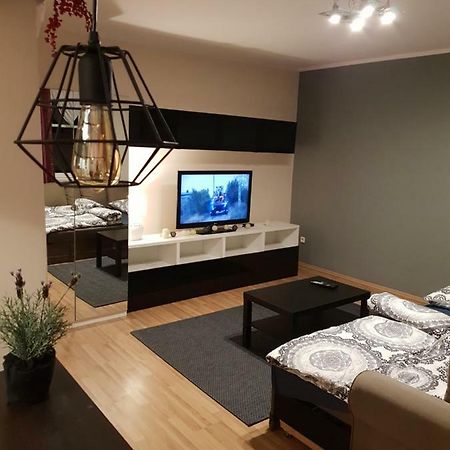 Apartamenty Hetmanska - 24H Shop Катовице Экстерьер фото