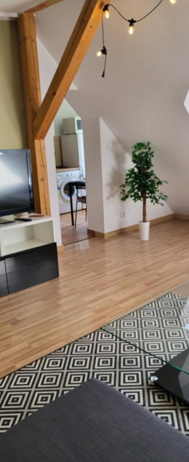 Apartamenty Hetmanska - 24H Shop Катовице Экстерьер фото